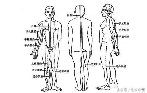 三陽三陰|【三陰三陽の考え方 1